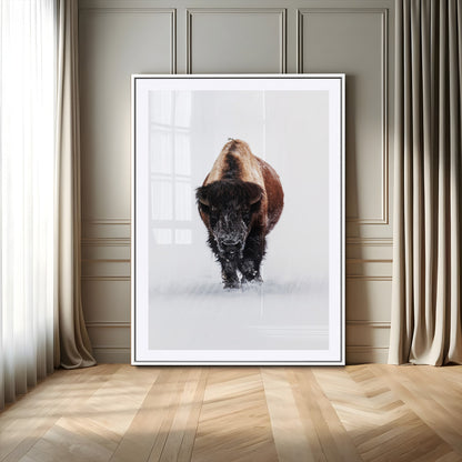 Front view of a strong bison walking in deep snow, isolated white background, perfect for rustic or lodge-style home decor.
