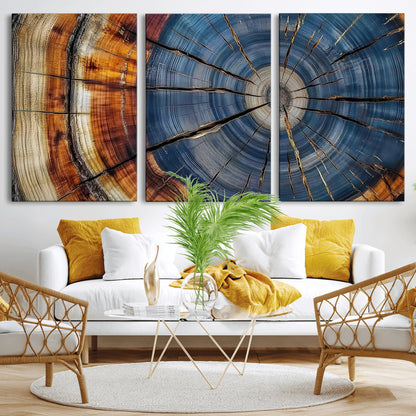 A stunning close-up view of a tree trunk, showcasing the intricate growth rings in a vibrant mix of warm browns, cool blues, and hints of natural texture.