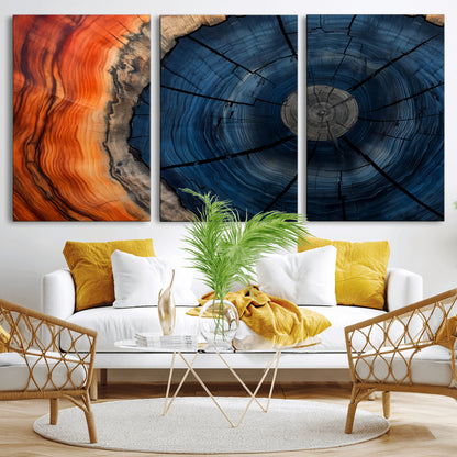 A captivating close-up of a tree trunk, showcasing its concentric rings in rich shades of blue, orange, and brown, highlighting the organic patterns of natural wood.