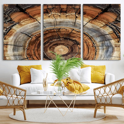 Canvas of tree rings and natural wood grain in earthy tones, ideal for rustic or vintage-inspired home decor with organic textures.