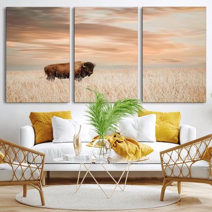 Bison Wall Art Print - Buffalo Canvas Print, featuring a lone bison in a golden prairie under a warm sunset sky, perfect for rustic and farmhouse decor.