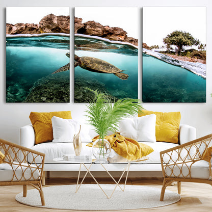 Dynamic split-view photo of a sea turtle swimming near rocky shores, perfect for vibrant coastal or tropical beach home decor.