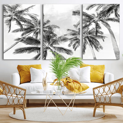 Black and white tropical palm trees viewed from below, swaying gently against a bright sky, creating a serene and elegant coastal atmosphere.