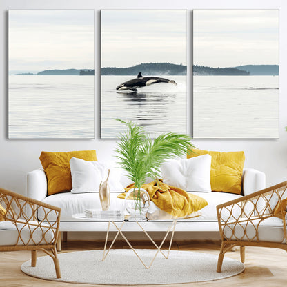 An orca jumping out of calm ocean waters with a misty island in the background, creating a serene and minimalist marine wildlife scene.
