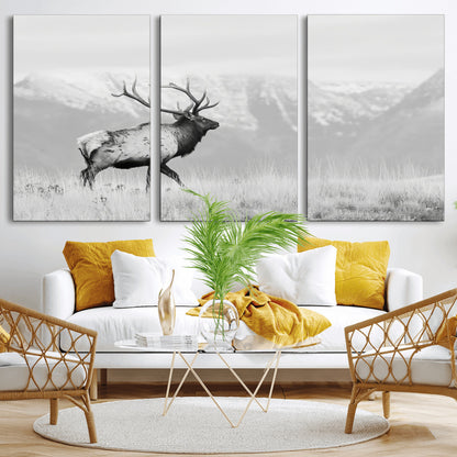 Black and white photograph of a majestic elk standing in a grassy field with snow-capped mountains in the background, creating a bold and rustic wilderness scene.