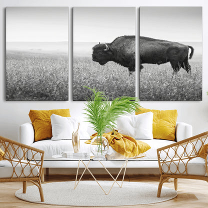 A black and white photograph of a majestic bison standing in a vast grassy prairie, evoking a sense of wilderness and strength.