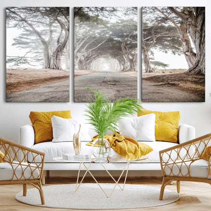 Canvas of a misty tree tunnel with arching cypress trees and an earthy road, ideal for rustic or coastal nature decor.