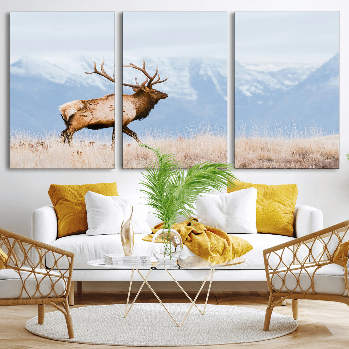 An elk walking on snowy grassland with majestic mountains in the background, ideal for rustic lodge or cabin wall decor.