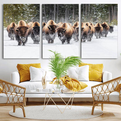 A herd of American bisons walking through a snowy forest path, perfect for rustic cabin or Western-themed wall decor.