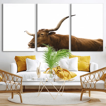 Minimal photo of a longhorn cow with white background, ideal for rustic, western or farmhouse-style interior decor.