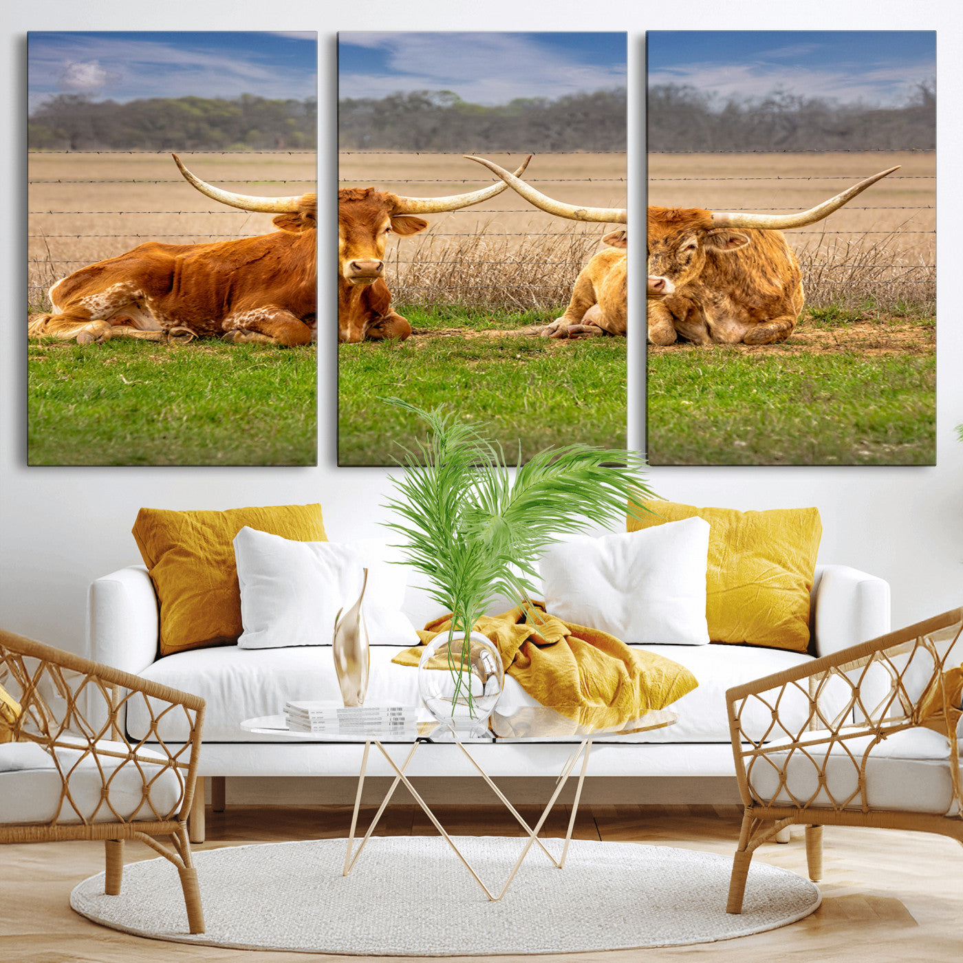Two longhorn cows lying on green grass in front of a golden field and trees under a blue sky, perfect for rustic country wall decor.
