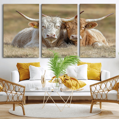 Two cows laying closely in a dry grassy field, captured in soft light, perfect for rustic farmhouse or western style home decor.