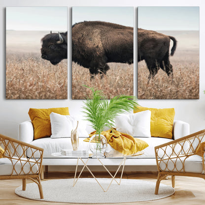A lone bison stands in a vast prairie under a soft sky, evoking freedom and rustic charm for western or farmhouse inspired interiors.