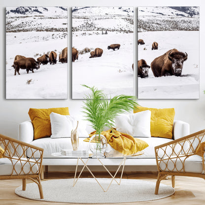 A herd of bison walking through deep snow in a mountain valley, perfect for rustic, cabin or western-themed wall decor.