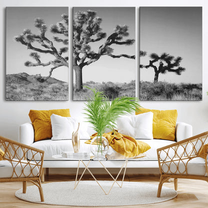 Black and white Joshua trees in a rugged desert landscape, creating a calm and minimalist feel for natural or rustic-themed interiors.