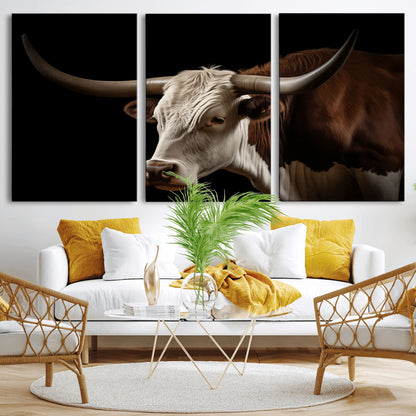 "Close-up of a brown and white longhorn cow with prominent curved horns against a black background."
