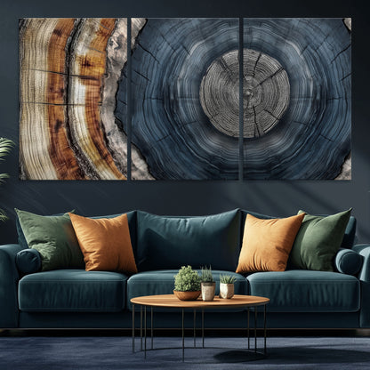 A stunning close-up of a tree trunk showing the intricate, circular growth rings, showcasing the natural textures and rich contrasts in deep blues, browns, and silvers.