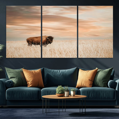 Bison Wall Art Print - Buffalo Canvas Print, featuring a lone bison in a golden prairie under a warm sunset sky, perfect for rustic and farmhouse decor.