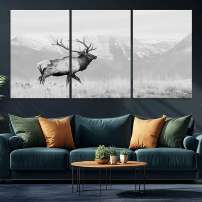 Black and white photograph of a majestic elk standing in a grassy field with snow-capped mountains in the background, creating a bold and rustic wilderness scene.