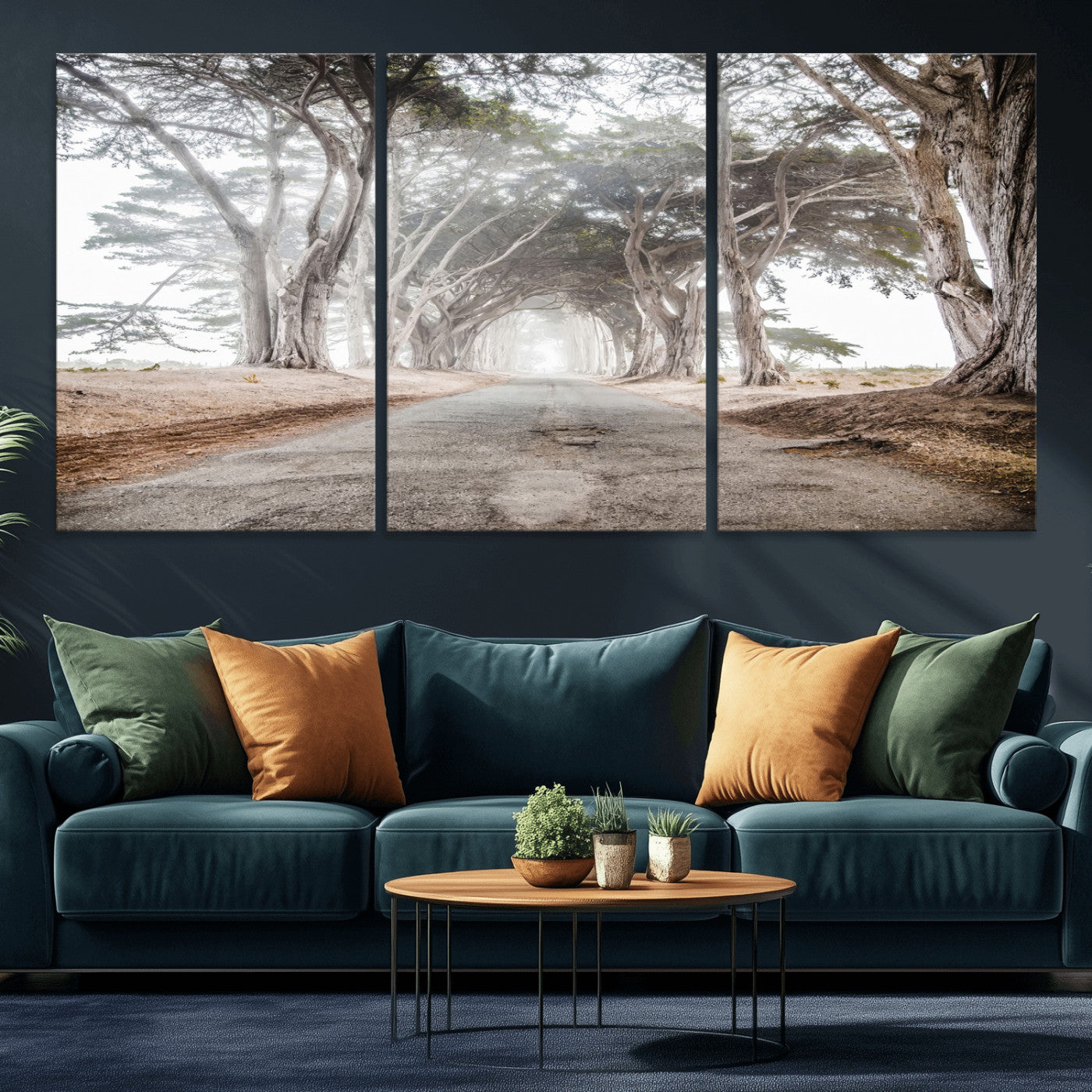 Canvas of a misty tree tunnel with arching cypress trees and an earthy road, ideal for rustic or coastal nature decor.