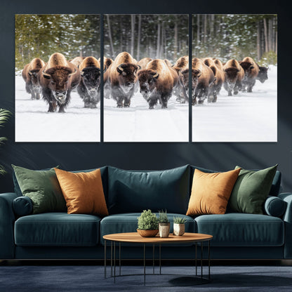 A herd of American bisons walking through a snowy forest path, perfect for rustic cabin or Western-themed wall decor.