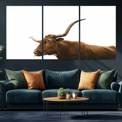 Minimal photo of a longhorn cow with white background, ideal for rustic, western or farmhouse-style interior decor.