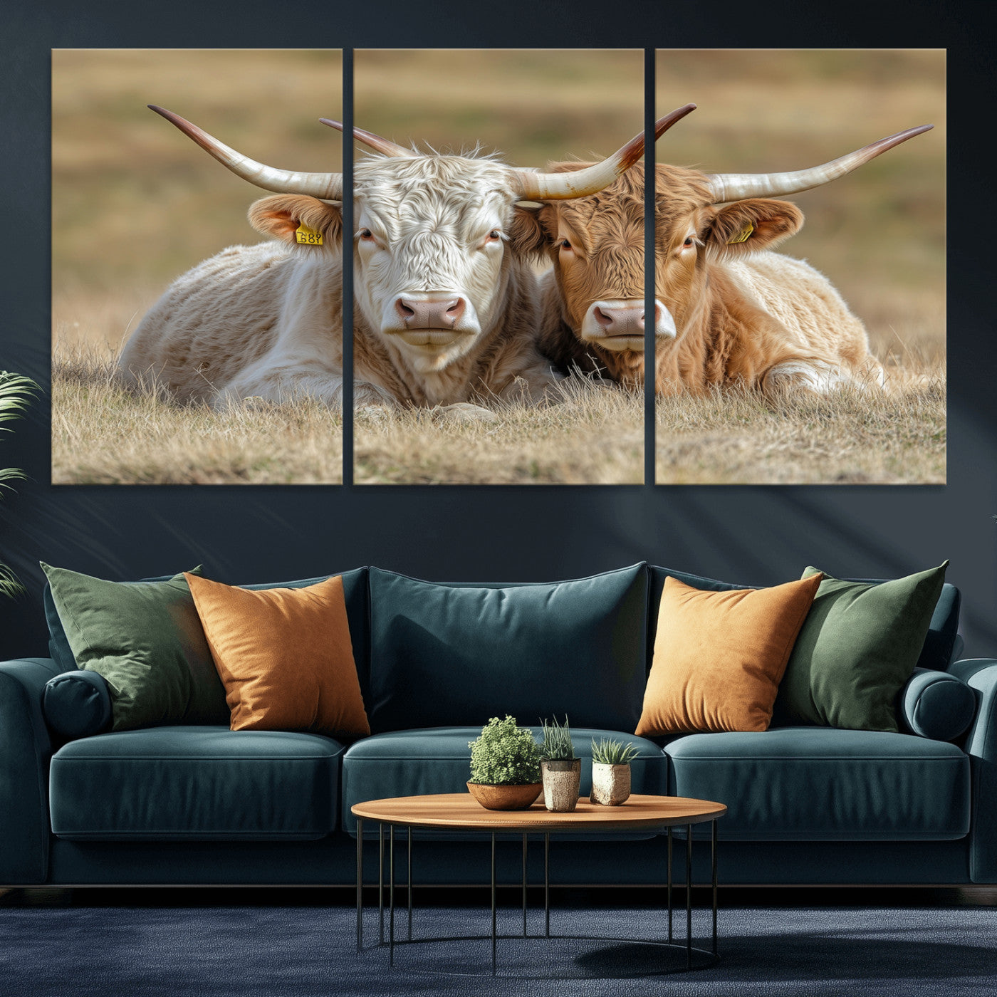 Two cows laying closely in a dry grassy field, captured in soft light, perfect for rustic farmhouse or western style home decor.
