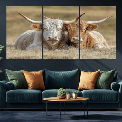 Two cows laying closely in a dry grassy field, captured in soft light, perfect for rustic farmhouse or western style home decor.