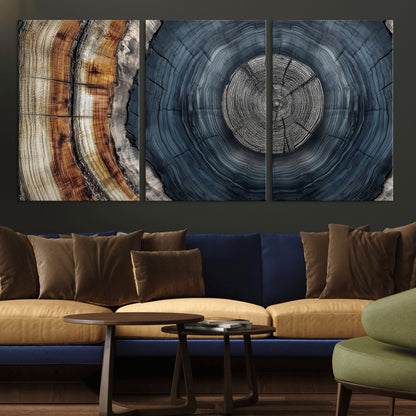 A stunning close-up of a tree trunk showing the intricate, circular growth rings, showcasing the natural textures and rich contrasts in deep blues, browns, and silvers.