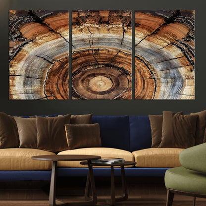 Canvas of tree rings and natural wood grain in earthy tones, ideal for rustic or vintage-inspired home decor with organic textures.