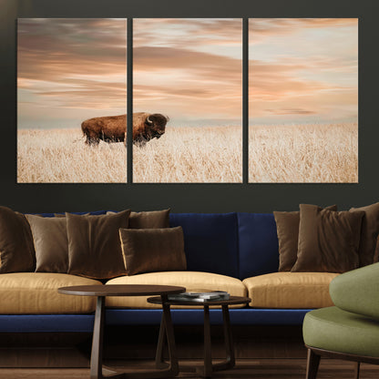 Bison Wall Art Print - Buffalo Canvas Print, featuring a lone bison in a golden prairie under a warm sunset sky, perfect for rustic and farmhouse decor.