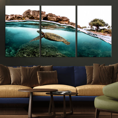 Dynamic split-view photo of a sea turtle swimming near rocky shores, perfect for vibrant coastal or tropical beach home decor.