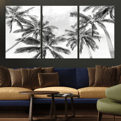 Black and white tropical palm trees viewed from below, swaying gently against a bright sky, creating a serene and elegant coastal atmosphere.