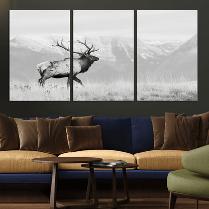 Black and white photograph of a majestic elk standing in a grassy field with snow-capped mountains in the background, creating a bold and rustic wilderness scene.
