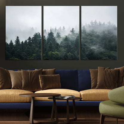 A misty evergreen forest shrouded in soft fog, creating a tranquil and moody landscape with lush green trees fading into the distance.