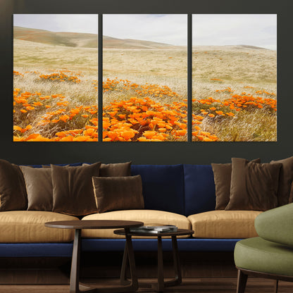 A golden field with vibrant orange poppies blooming across rolling hills under a soft, sunlit sky, creating a warm and rustic landscape.