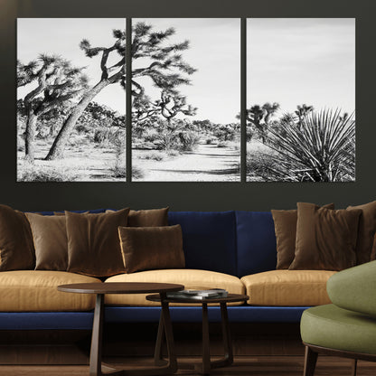 Canvas of a Joshua Tree forest in black and white tones, featuring a desert path and spiky vegetation, ideal for minimalist or rustic decor.