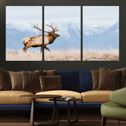 An elk walking on snowy grassland with majestic mountains in the background, ideal for rustic lodge or cabin wall decor.