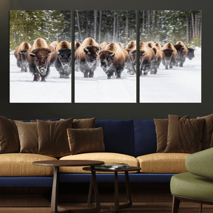 A herd of American bisons walking through a snowy forest path, perfect for rustic cabin or Western-themed wall decor.