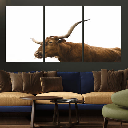 Minimal photo of a longhorn cow with white background, ideal for rustic, western or farmhouse-style interior decor.