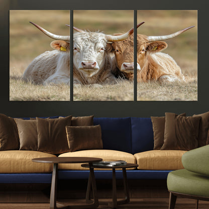 Two cows laying closely in a dry grassy field, captured in soft light, perfect for rustic farmhouse or western style home decor.