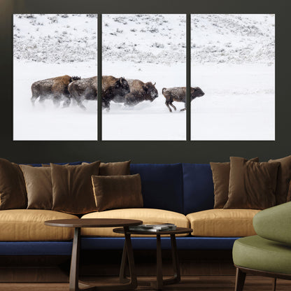 Bison herd running through a snowy open field with mountain backdrop, perfect for rustic or western-themed wall decoration.