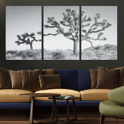 Black and white Joshua tree in a desert landscape with soft light and dry brush, perfect for rustic or minimalist home decor.