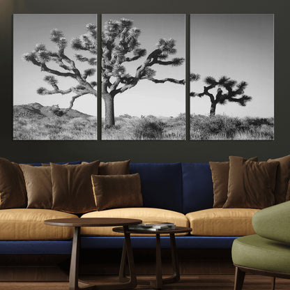 Black and white Joshua trees in a rugged desert landscape, creating a calm and minimalist feel for natural or rustic-themed interiors.