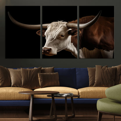 "Close-up of a brown and white longhorn cow with prominent curved horns against a black background."