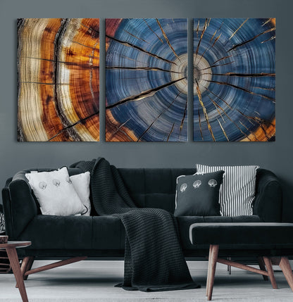 A stunning close-up view of a tree trunk, showcasing the intricate growth rings in a vibrant mix of warm browns, cool blues, and hints of natural texture.
