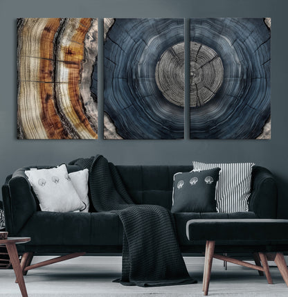 A stunning close-up of a tree trunk showing the intricate, circular growth rings, showcasing the natural textures and rich contrasts in deep blues, browns, and silvers.