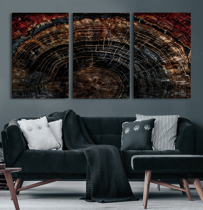 Dark Wood Wall Art Print - Petrified Tree Canvas Print, featuring an intricate tree ring pattern with deep earthy tones and organic textures, perfect for rustic and nature-inspired decor.