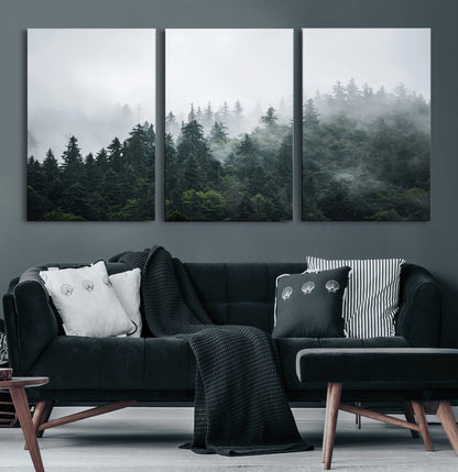 A misty evergreen forest shrouded in soft fog, creating a tranquil and moody landscape with lush green trees fading into the distance.