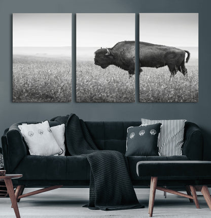 A black and white photograph of a majestic bison standing in a vast grassy prairie, evoking a sense of wilderness and strength.
